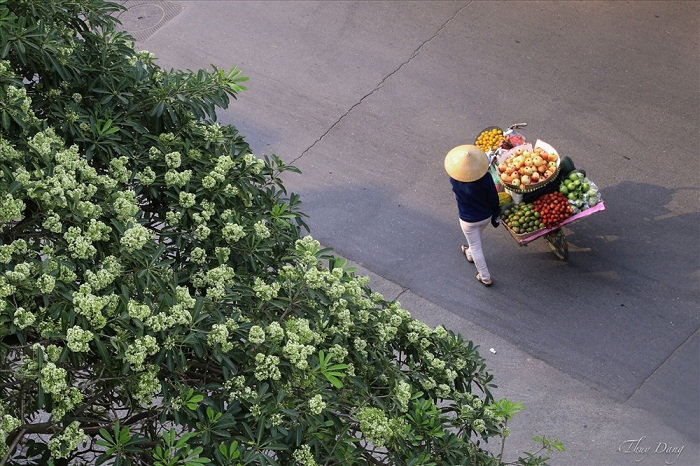 [Phiếm đàm cuối tuần] Những khắc mùa ở Sài Gòn, và mùa thu…