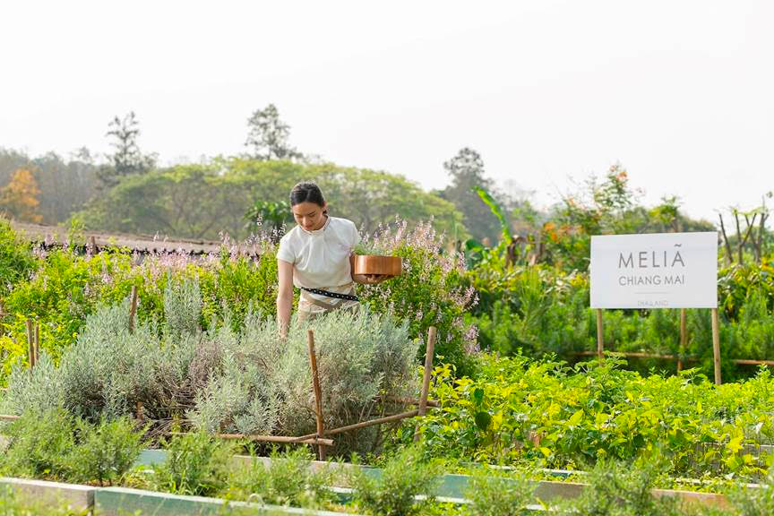 Meliá Hotels International đạt  thành tích trong chiến lược phát triển bền vững