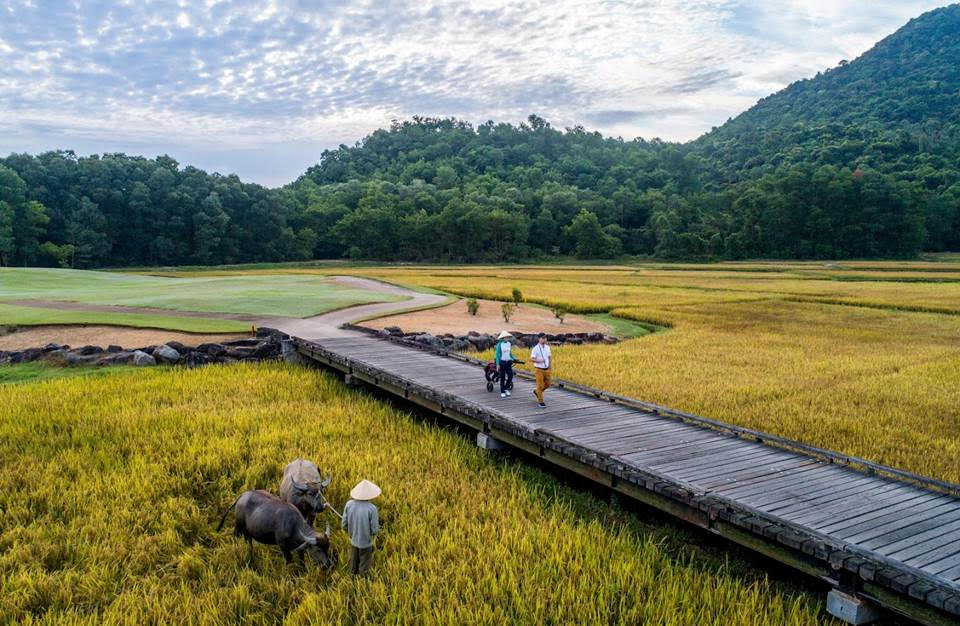Xu hướng phát triển bền vững vì hệ sinh thái của những khu nghỉ dưỡng cao cấp