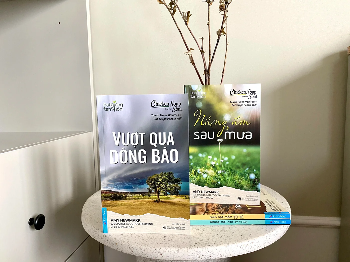 “Vượt qua dông bão” và “Nắng ấm sau mưa” – Món quà nhỏ dành cho tâm hồn