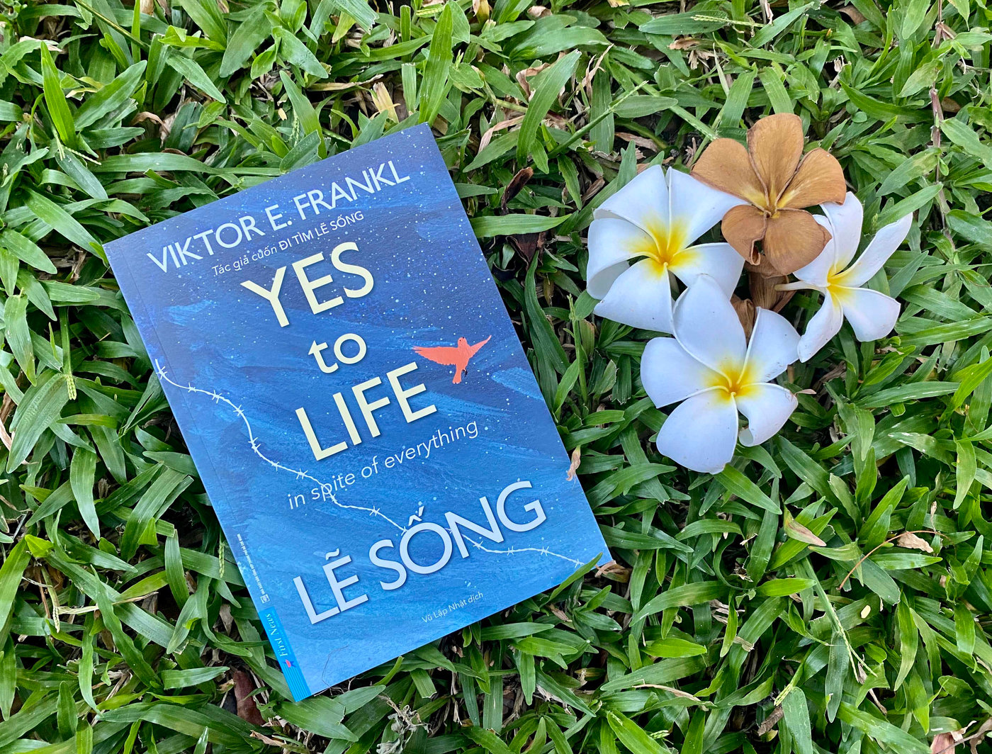 "Lẽ sống" – Viktor Frankl & niềm tin mang đến cho chúng ta một cuộc sống ý nghĩa