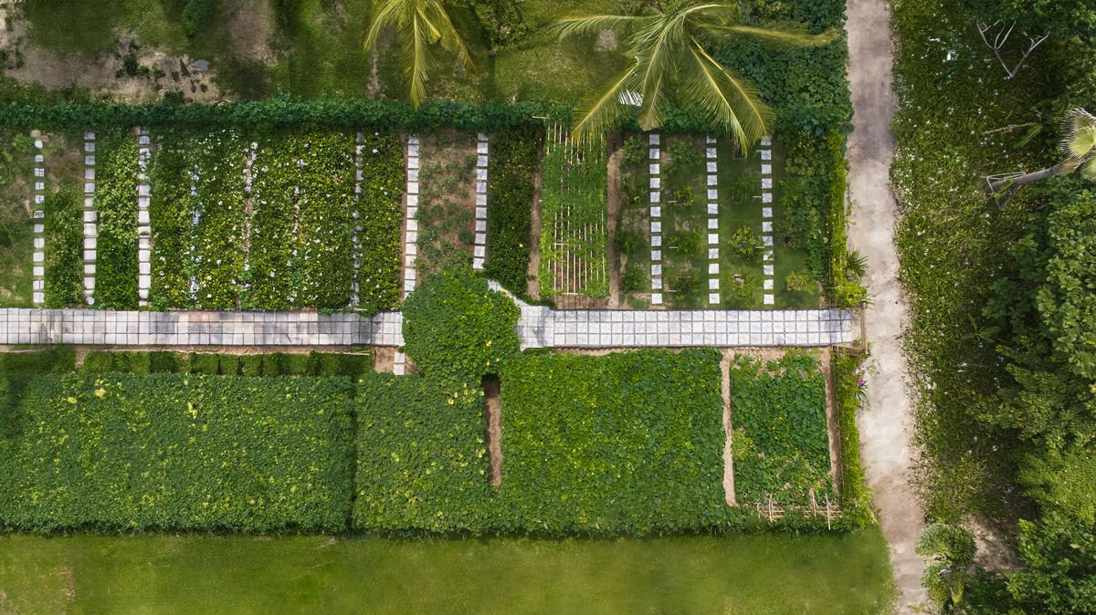 Khám phá vườn ươm hữu cơ và lớp học nấu ăn bên biển tại Danang Marriott Resort & Spa