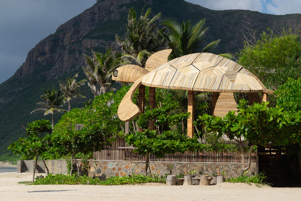 Six Senses Côn Đảo & cột mốc 30.000 rùa con trở về biển trước Ngày rùa biển thế giới
