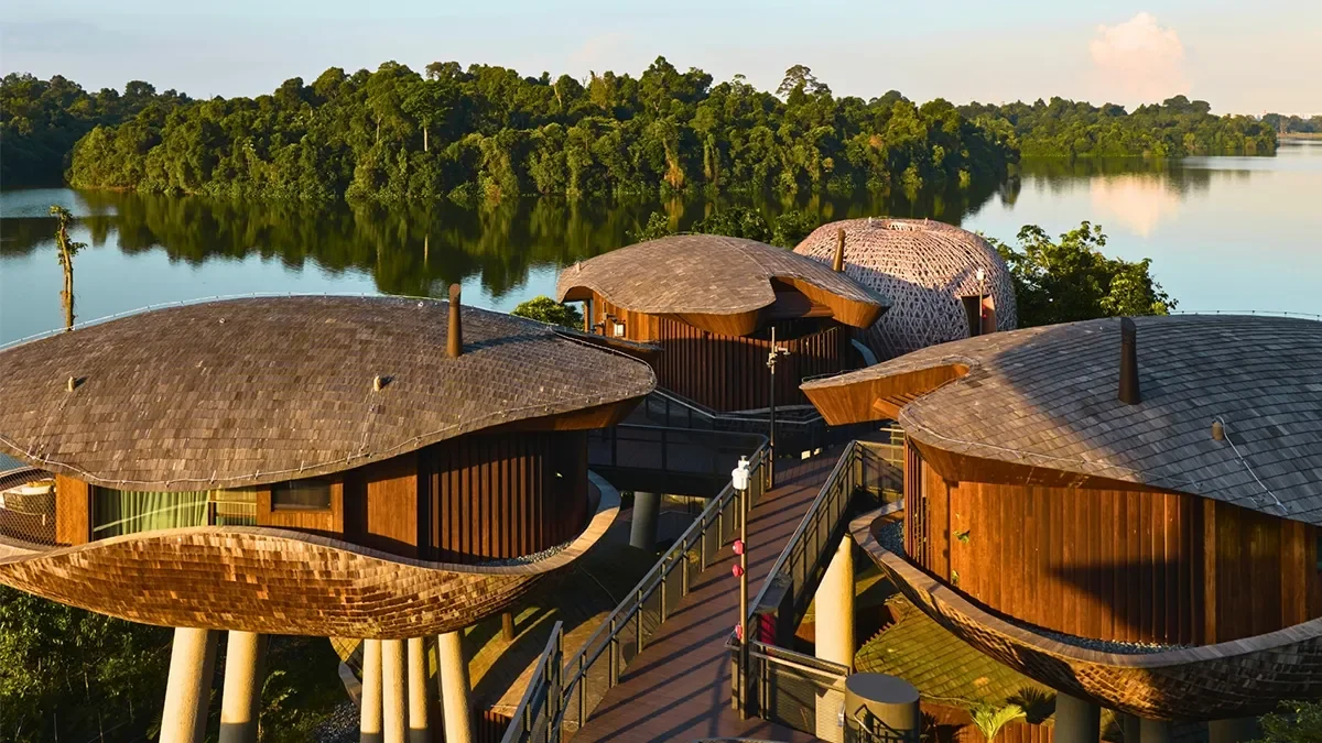 Mandai Rainforest – Khu nghỉ dưỡng hạng sang ẩn sâu giữa rừng nhiệt đới Singapore