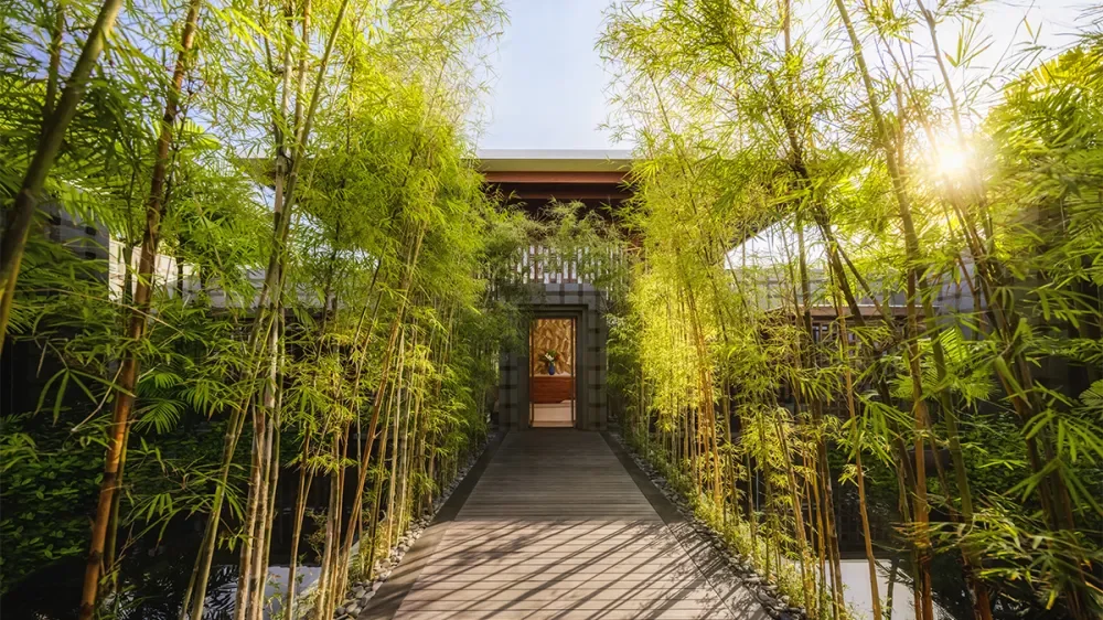 Regent Spa & Wellness Bali: Bản giao hưởng giữa nghi lễ cổ xưa và khoa học hiện đại
